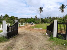  Land for sale in Cavite, Calabarzon, Alfonso, Cavite