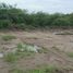  Land for sale in Montecristi, Manabi, Montecristi, Montecristi