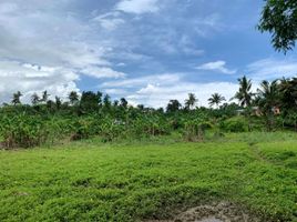  Land for sale in Toledo City, Cebu, Toledo City