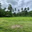  Land for sale in Toledo City, Cebu, Toledo City