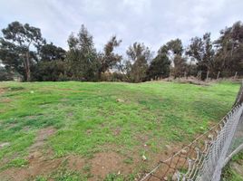  Land for sale in Valparaiso, Vina Del Mar, Valparaiso, Valparaiso