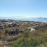  Grundstück zu verkaufen in Ensenada, Baja California, Ensenada