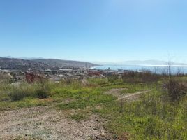  Grundstück zu verkaufen in Ensenada, Baja California, Ensenada
