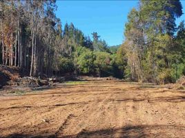  Terreno (Parcela) en venta en Biobío, Concepcion, Concepción, Biobío