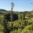  Terreno (Parcela) en venta en Biobío, Concepcion, Concepción, Biobío