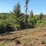  Terreno (Parcela) en venta en Biobío, Concepcion, Concepción, Biobío