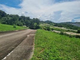  Land for sale at Forest Farms, The Grove, Angono, Rizal