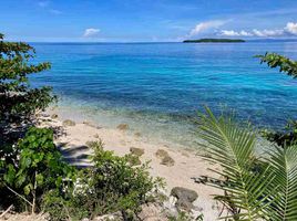  Land for sale in Oslob, Cebu, Oslob