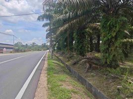  Terrain for sale in Pontian, Johor, Jeram Batu, Pontian