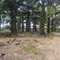  Terrain for sale in Johor, Jeram Batu, Pontian, Johor