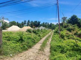  Land for sale in Bohol, Central Visayas, Panglao, Bohol