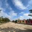  Land for sale in Razuri, La Libertad, Razuri, Ascope