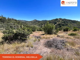  Land for sale in Valparaiso, Casa Blanca, Valparaiso, Valparaiso