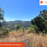  Land for sale in Valparaiso, Casa Blanca, Valparaiso, Valparaiso