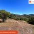  Land for sale in Valparaiso, Casa Blanca, Valparaiso, Valparaiso
