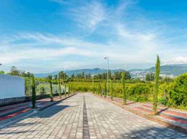 Terreno (Parcela) en venta en Tumbaco, Pichincha, Tumbaco