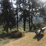 4 Schlafzimmer Villa zu vermieten in Yumbo, Valle Del Cauca, Yumbo