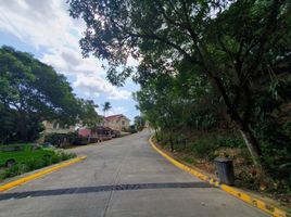  토지을(를) Talisay City, 세부에서 판매합니다., Talisay City