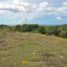  Land for sale in Cebu Central Visayas, Tabuelan