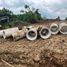  Land for sale in Silang, Calabarzon, Silang