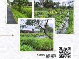  Land for sale in Pakem, Sleman, Pakem