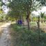  Terreno (Parcela) en venta en Jose Azueta, Guerrero, Jose Azueta