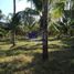  Terreno (Parcela) en venta en Jose Azueta, Guerrero, Jose Azueta