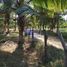  Terreno (Parcela) en venta en Jose Azueta, Guerrero, Jose Azueta