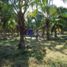  Terreno (Parcela) en venta en Jose Azueta, Guerrero, Jose Azueta