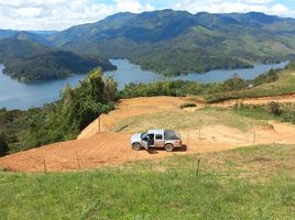  Land for sale in San Roque, Antioquia, San Roque