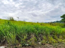 Terrain à vendre à Antipolo City, Calabarzon, Antipolo City, Rizal