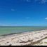  Land for sale in Dzemul, Yucatan, Dzemul