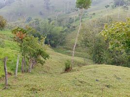  Villa en venta en Caracoli, Antioquia, Caracoli