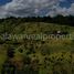  Land for sale in Puerto Princesa City, Mimaropa, Puerto Princesa City, Palawan, Mimaropa