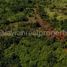  Land for sale in Puerto Princesa City, Mimaropa, Puerto Princesa City, Palawan, Mimaropa