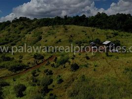  Land for sale in Puerto Princesa City, Mimaropa, Puerto Princesa City, Palawan, Mimaropa