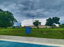  Terrain for sale in Batangas, Calabarzon, Calatagan, Batangas