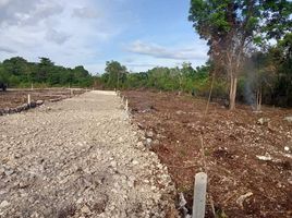  Grundstück zu verkaufen in Bohol, Central Visayas, Dauis