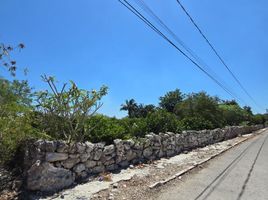  Land for sale in Yobain, Yucatan, Yobain