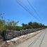  Land for sale in Yobain, Yucatan, Yobain