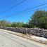  Land for sale in Yobain, Yucatan, Yobain