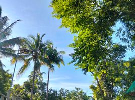  Terreno (Parcela) en venta en Alfonso, Calabarzon, Alfonso, Cavite, Calabarzon, Filipinas