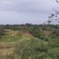  Land for sale in Manlio Fabio Altamirano, Veracruz, Manlio Fabio Altamirano