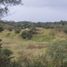  Land for sale in Manlio Fabio Altamirano, Veracruz, Manlio Fabio Altamirano