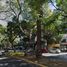 Condominium 2 chambre à vendre à Miguel Hidalgo, Mexico City, Miguel Hidalgo