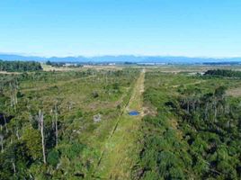  Land for sale in Los Lagos, Puerto Montt, Llanquihue, Los Lagos