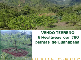  Land for sale in Espejo, Carchi, El Goaltal, Espejo