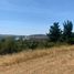  Land for sale in Chile, Osorno, Osorno, Los Lagos, Chile