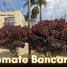 3 Bedroom Villa for sale in Ciudad Guzman, Jalisco, Ciudad Guzman
