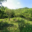  Land for sale in San Ignacio, Sinaloa, San Ignacio